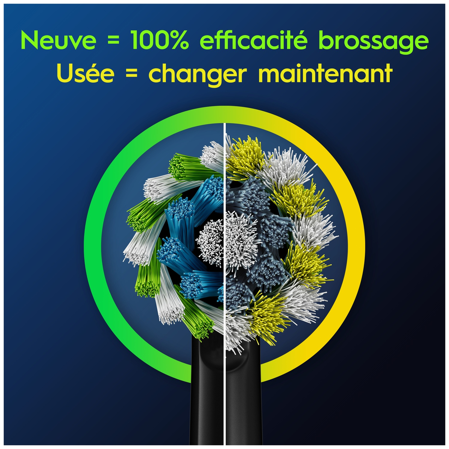 Brosse neuve bleue/verte, usée grise/jaune. Changez maintenant.