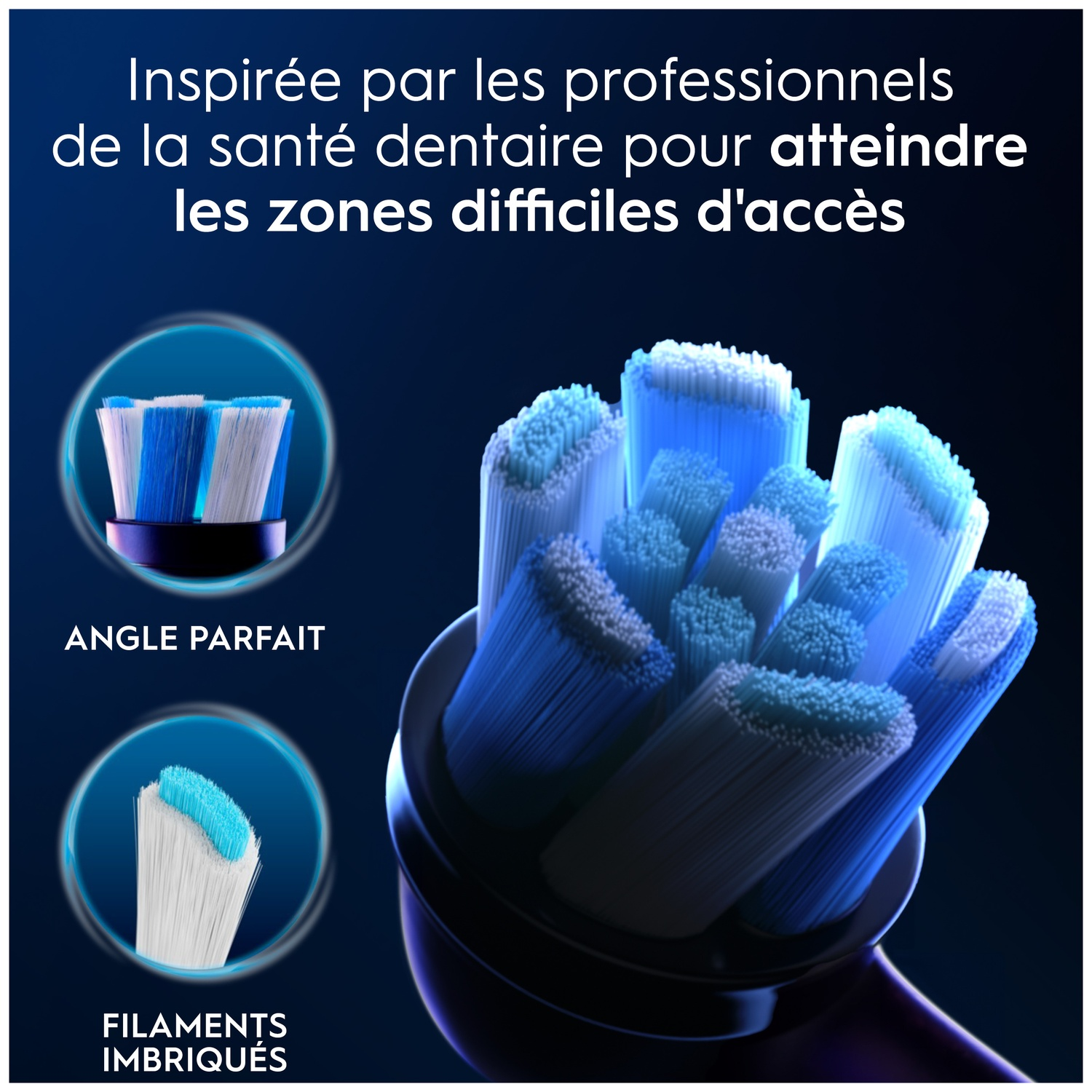 Têtes de brosse à dents bleues et blanches, inspirées par les dentistes.