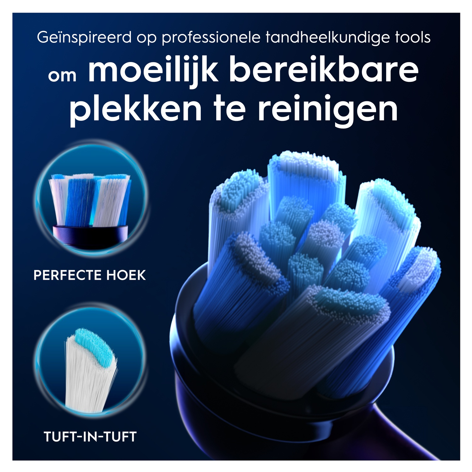 Têtes de brosse à dents avec poils bleus et blancs, inspirées d'outils dentaires.