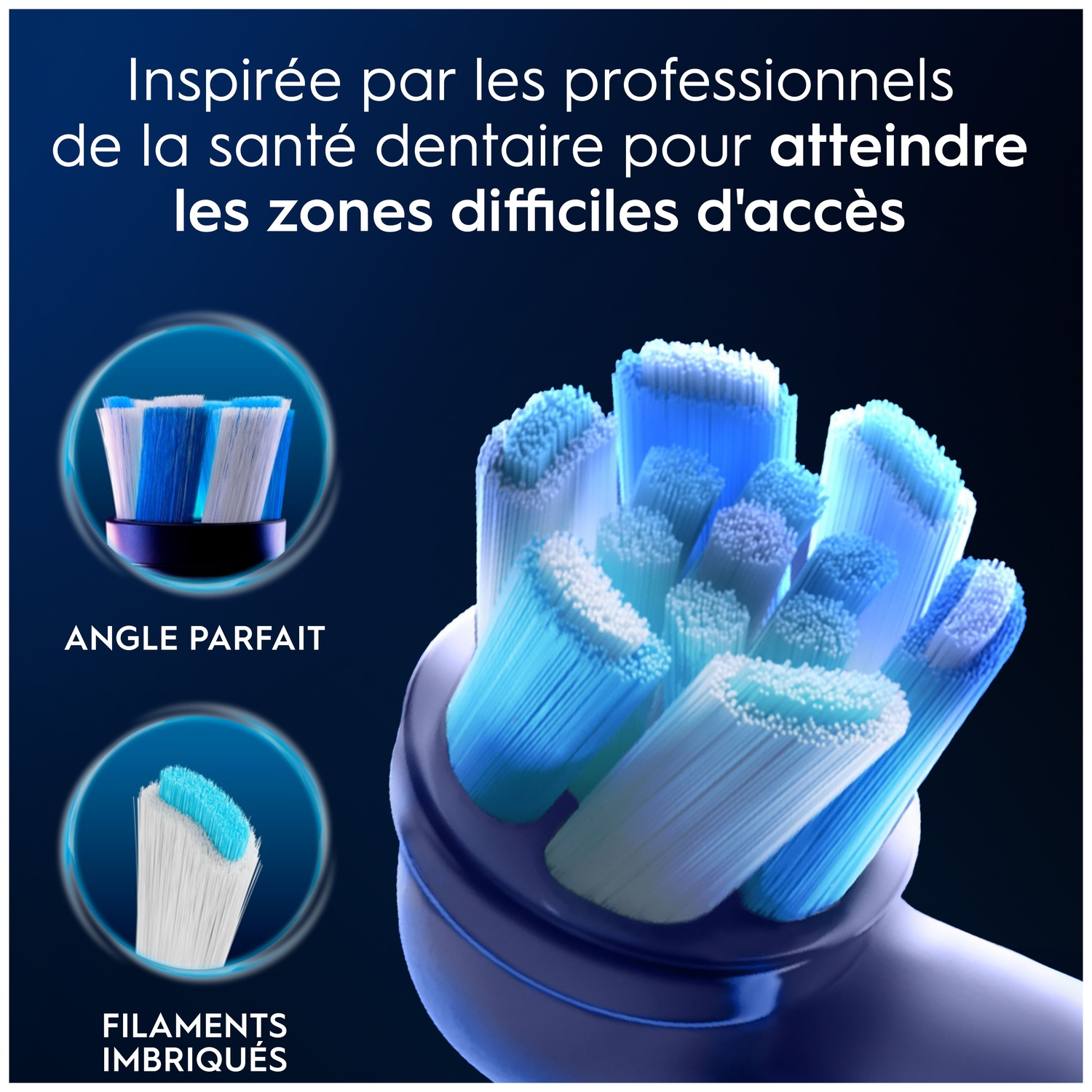 Têtes de brosse à dents électriques avec poils bleus et blancs, gros plan.