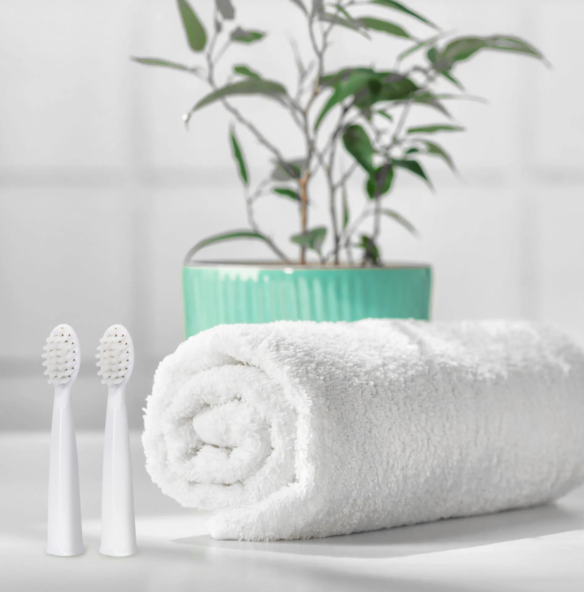 Dwie białe główki szczoteczki do zębów obok zwiniętego białego ręcznika.