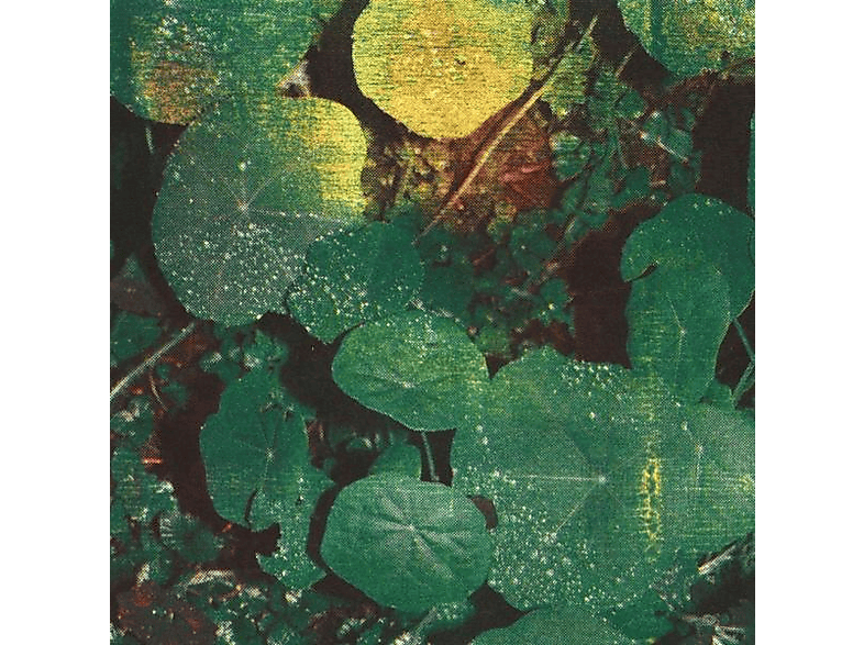 Whoman - About Honey - (CD)