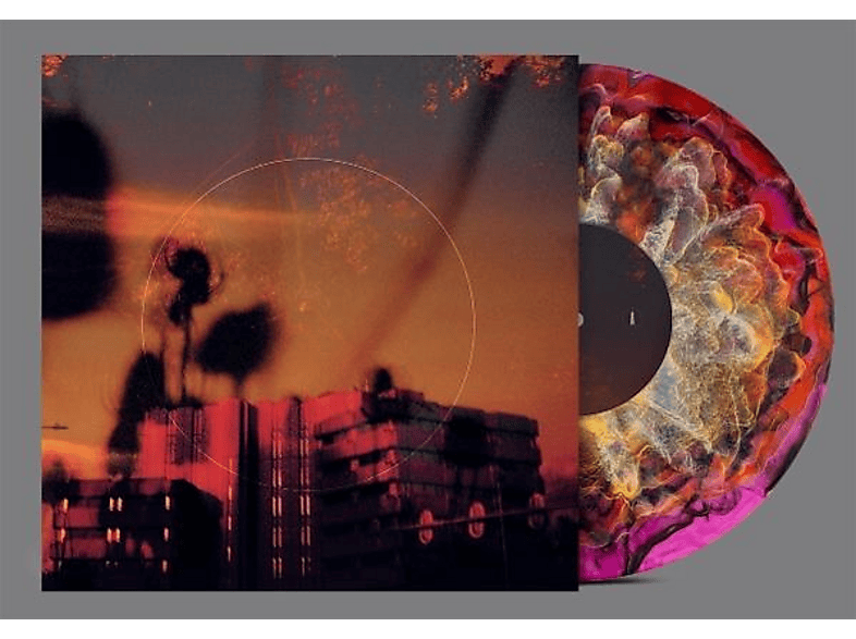 Bismut - Matsutake - (Vinyl)