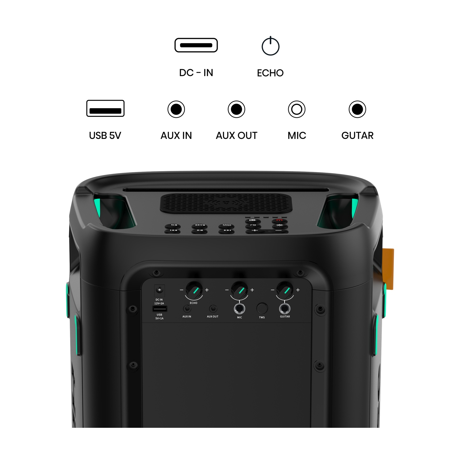 Pannello posteriore di un altoparlante nero che mostra le porte: DC IN, USB, AUX IN, AUX OUT, MIC, GUITAR.
