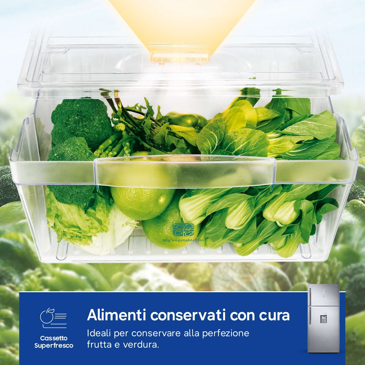 Verdure fresche in un cassetto trasparente, illuminate dall'alto.