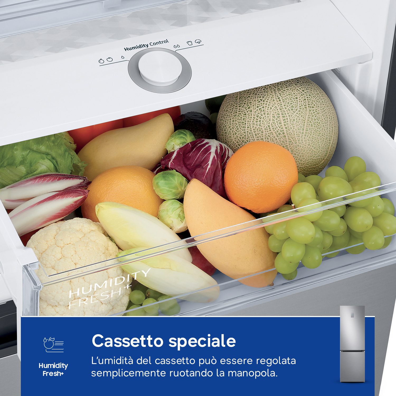 Un cassetto del frigorifero pieno di vari frutti e verdure, con controllo dell'umidità.