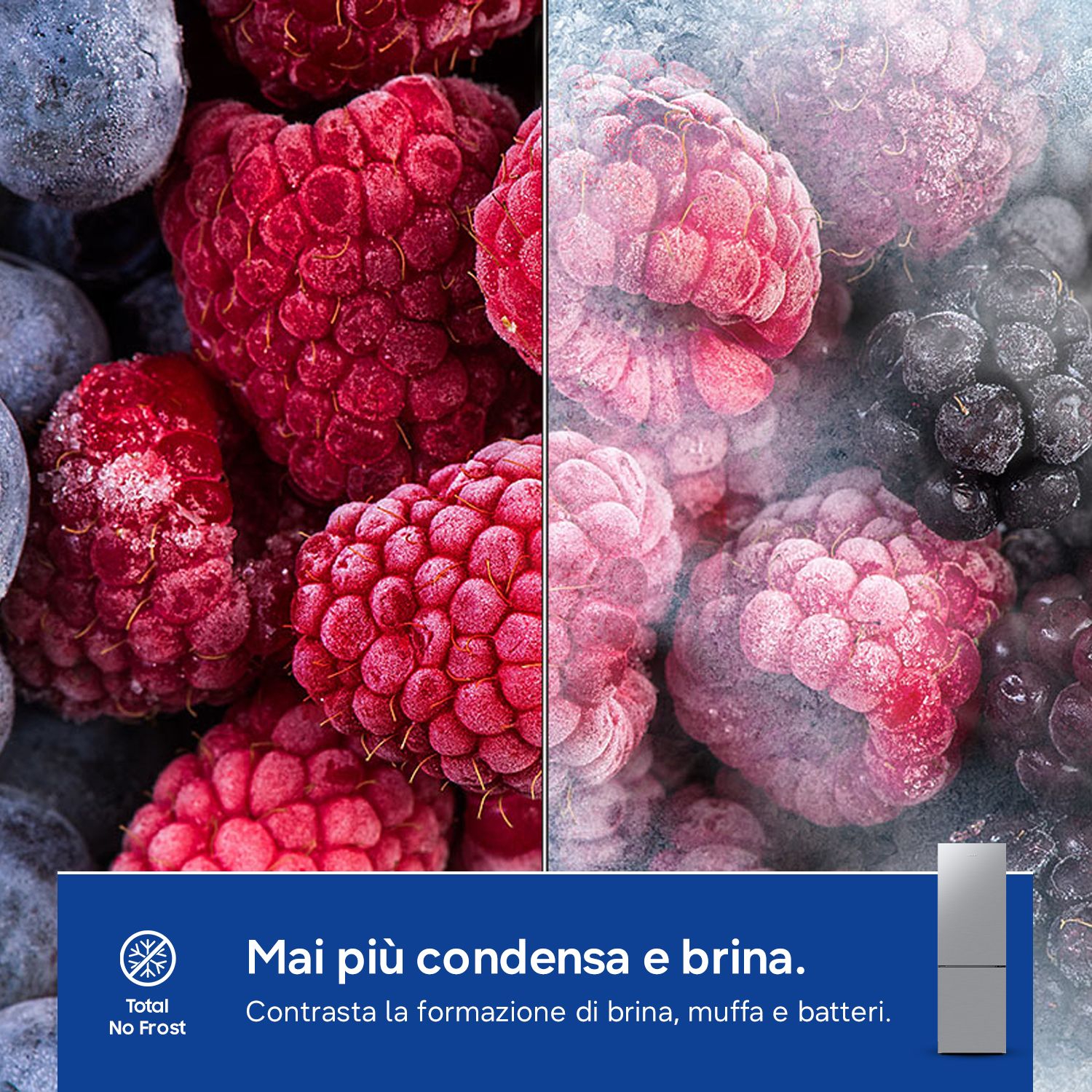 Bacche e lamponi congelati, alcuni con brina, altri con condensa.