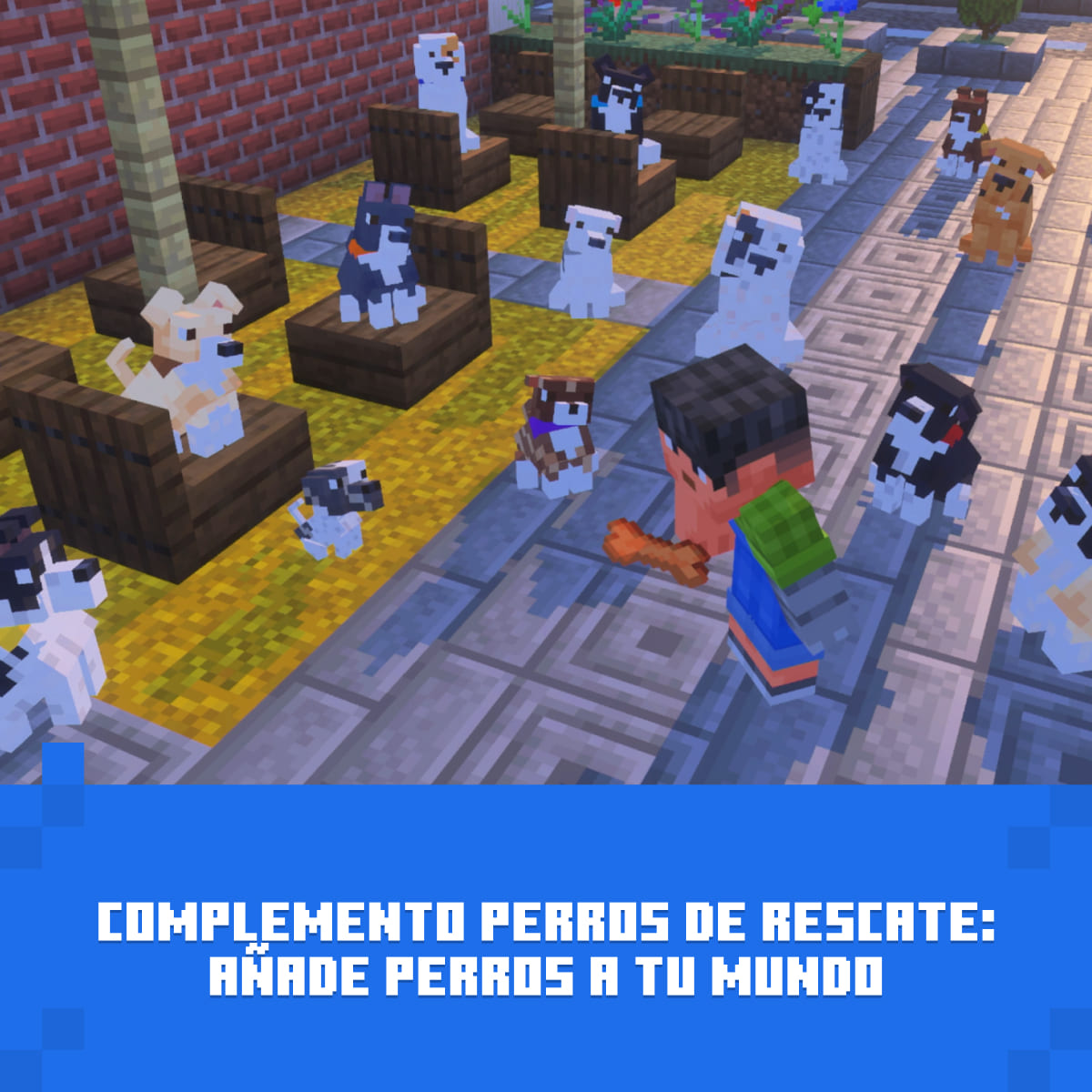 Un personaje de Minecraft lanza un hueso a un perro en un camino de adoquines con muchos perros.