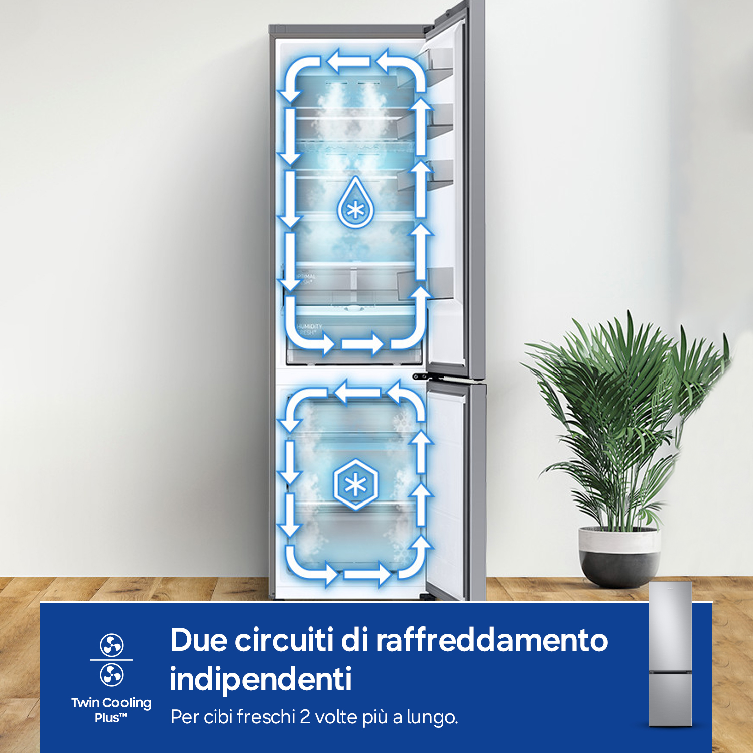 Frigorifero con porta aperta che mostra circuiti di raffreddamento indipendenti.