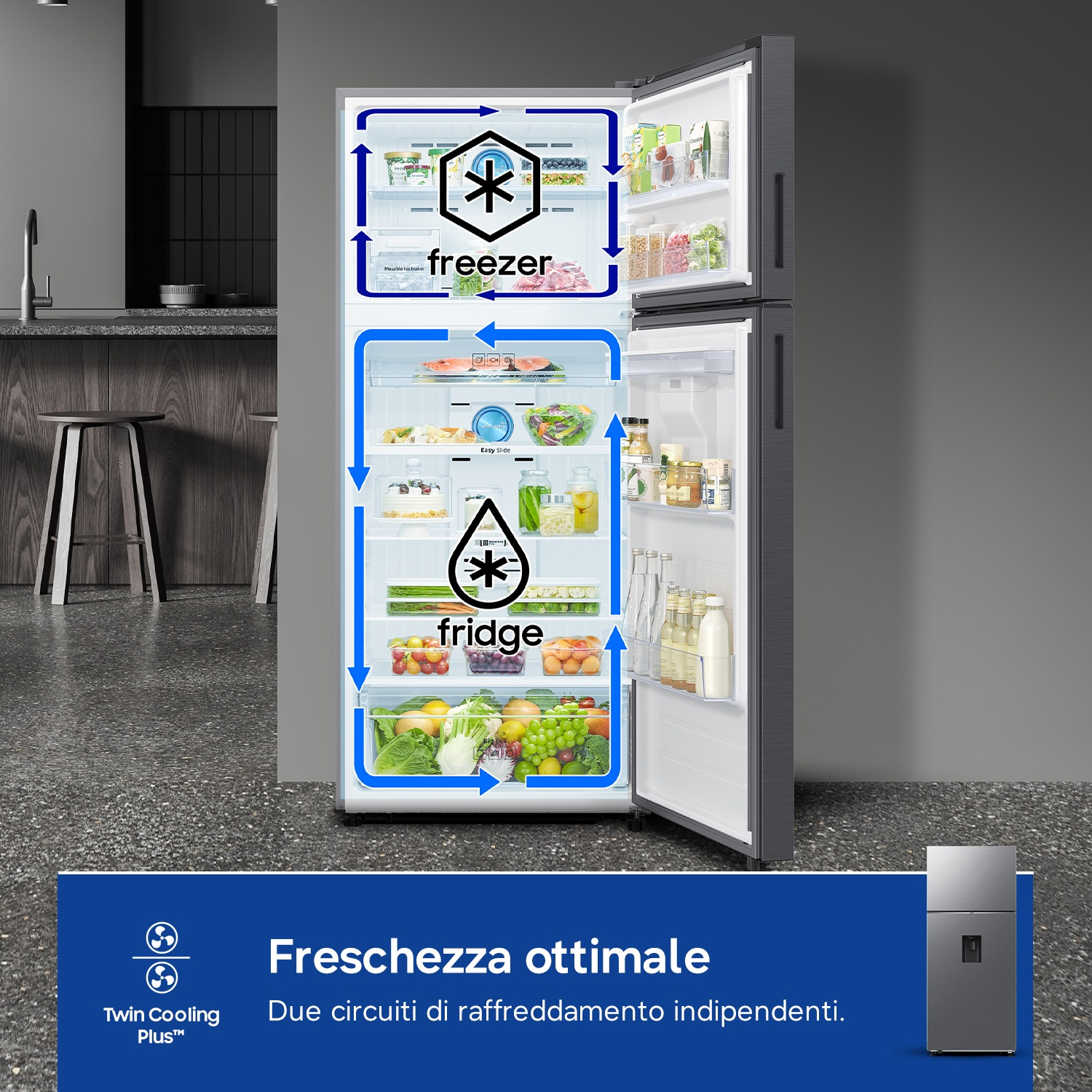 Frigorifero aperto con congelatore in alto e vano frigo sotto. Frecce blu mostrano circolazione aria.