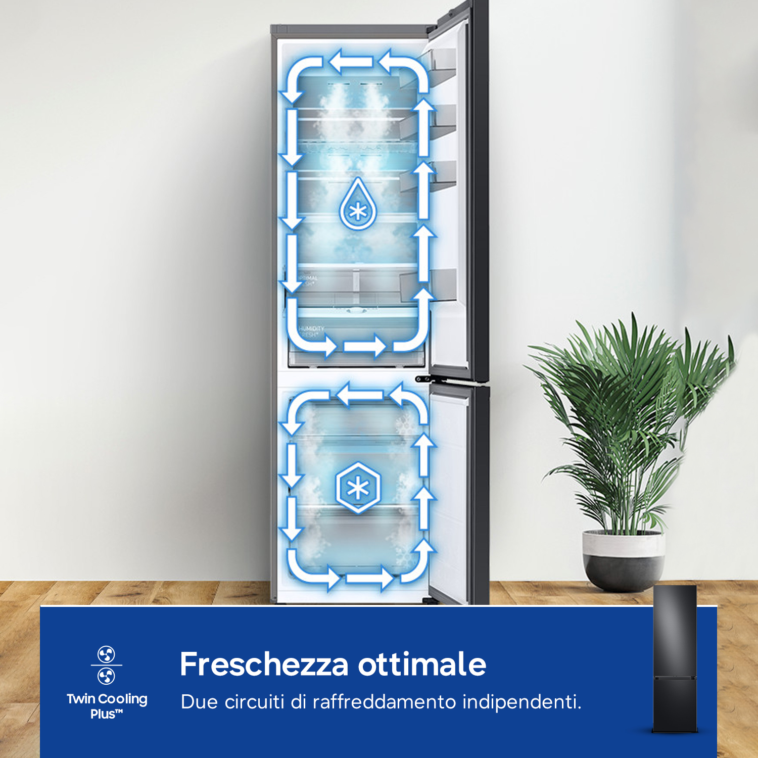 Frigorifero con doppi circuiti di raffreddamento, frecce blu mostrano la circolazione.