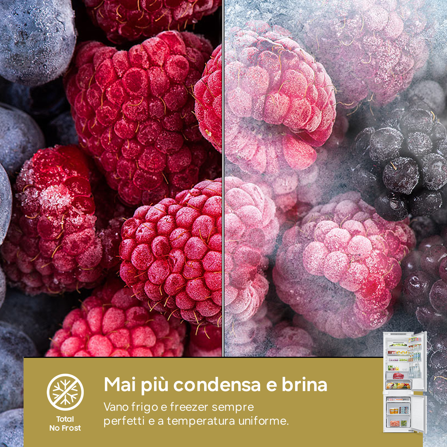Lamponi e mirtilli congelati con brina. Frigorifero con tecnologia No Frost.