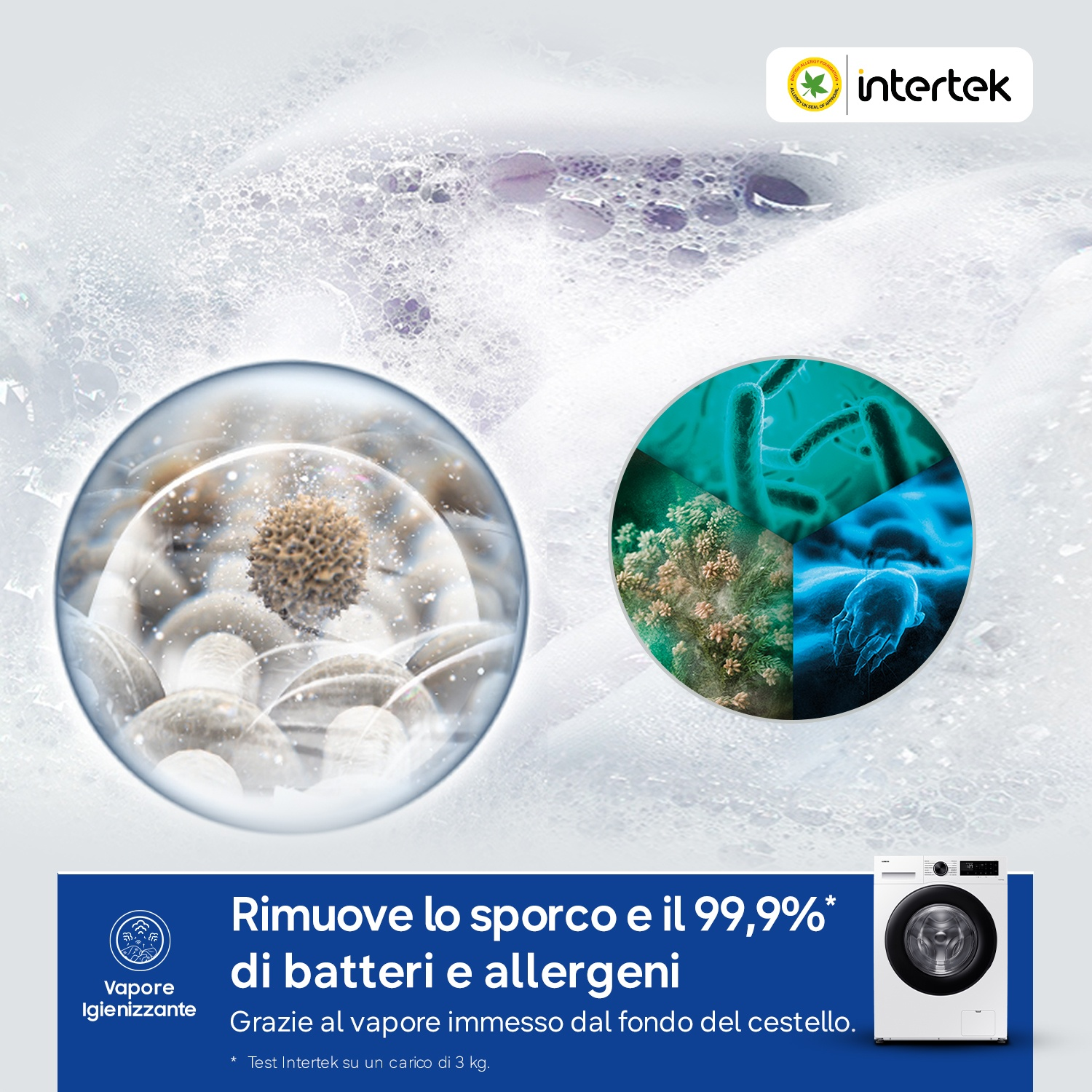 Primo piano di acari, batteri e fibre in un paesaggio di bolle.