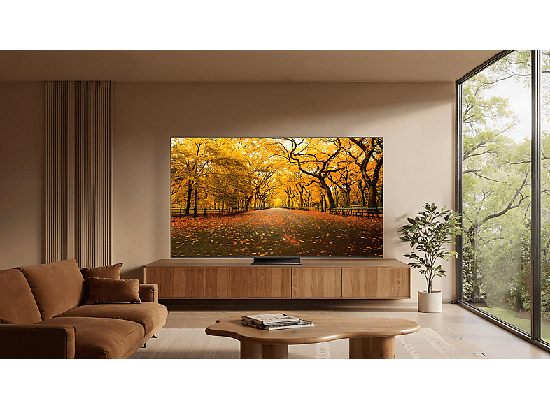 TCL 65C8L (2026) 65 Zoll SQD-Mini LED TV