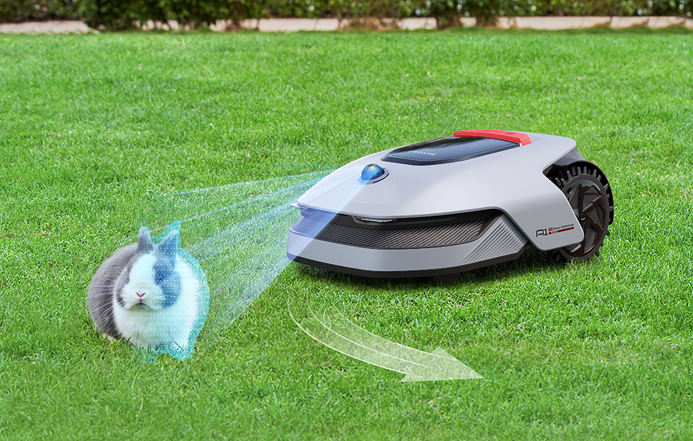 Robot koszący wykrywa królika na trawniku. Promień światła jest skierowany na królika.