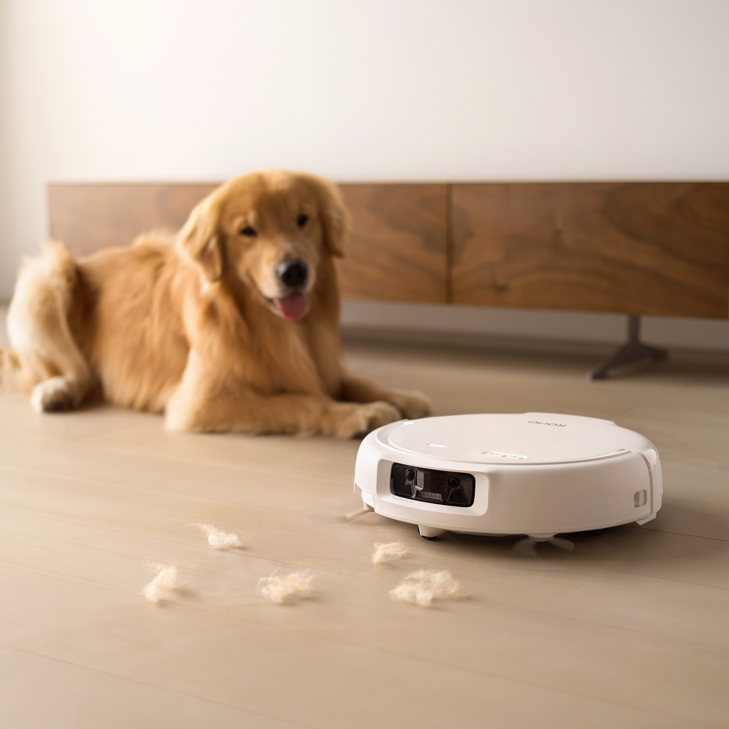 Ein Roboterstaubsauger reinigt einen Holzboden, während ein Hund daneben liegt.
