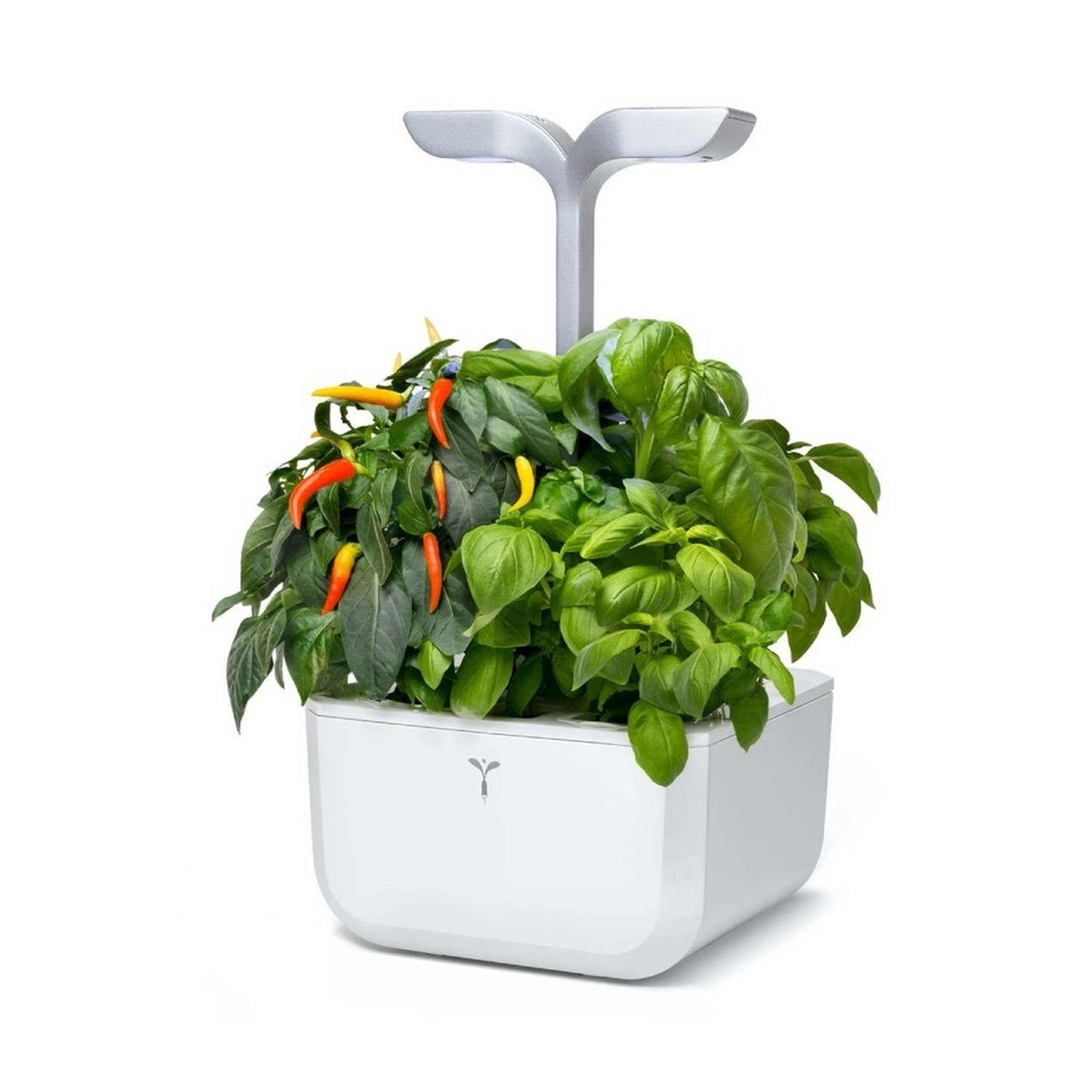 Un contenitore bianco con luce LED, che coltiva piante verdi e peperoncini.