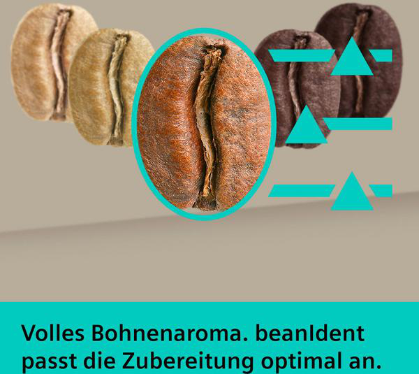 Kaffeebohnen in verschiedenen Röstgraden mit türkisfarbenen Symbolen.