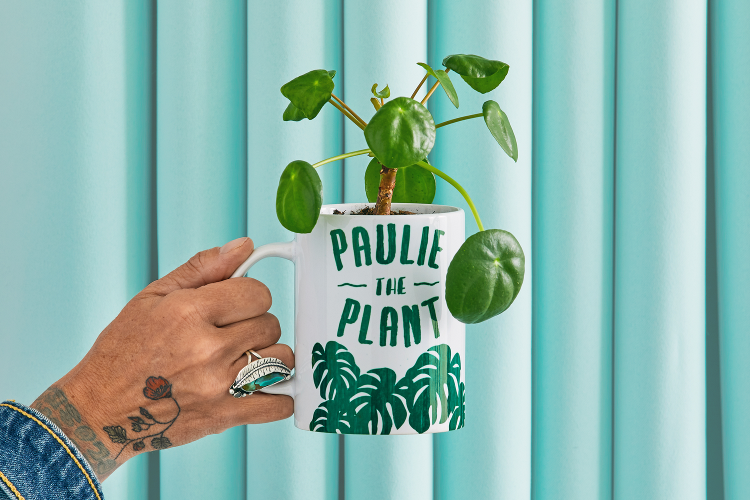 Una mano sostiene una taza blanca con una planta y el texto "Paulie the Plant".