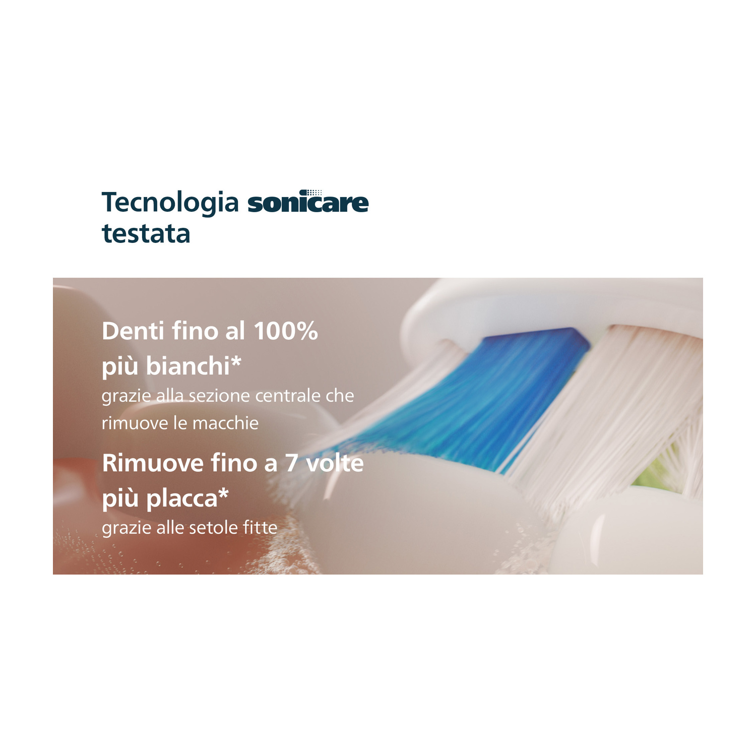 Primo piano di una testina di spazzolino elettrico con setole blu e bianche.