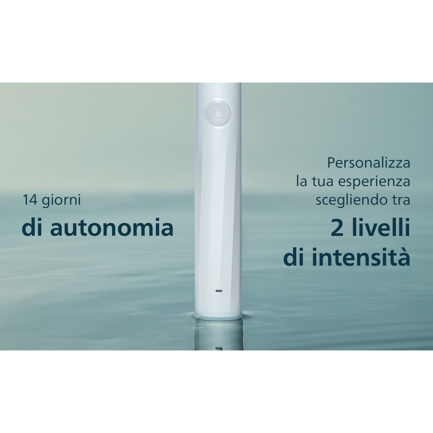 Spazzolino elettrico con 14 giorni di autonomia e 2 livelli di intensità.