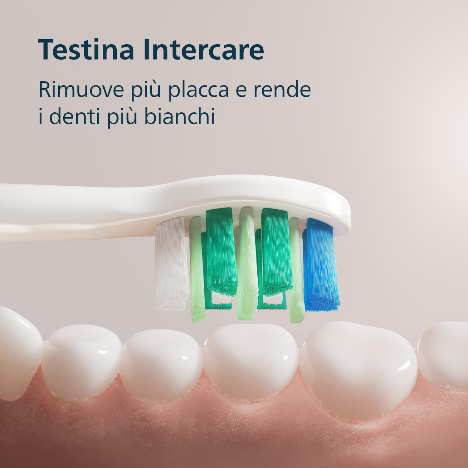 Testina di spazzolino con setole blu e verdi su denti bianchi.