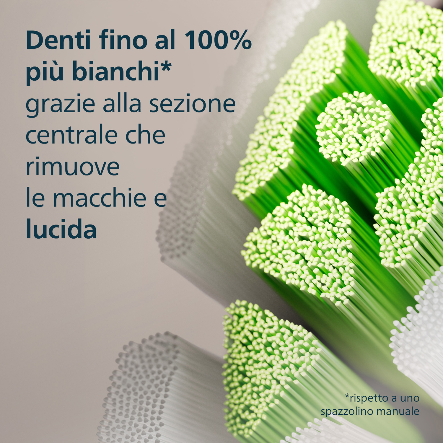 Primo piano di setole di spazzolino verdi e bianche. Presenta una sezione centrale verde.
