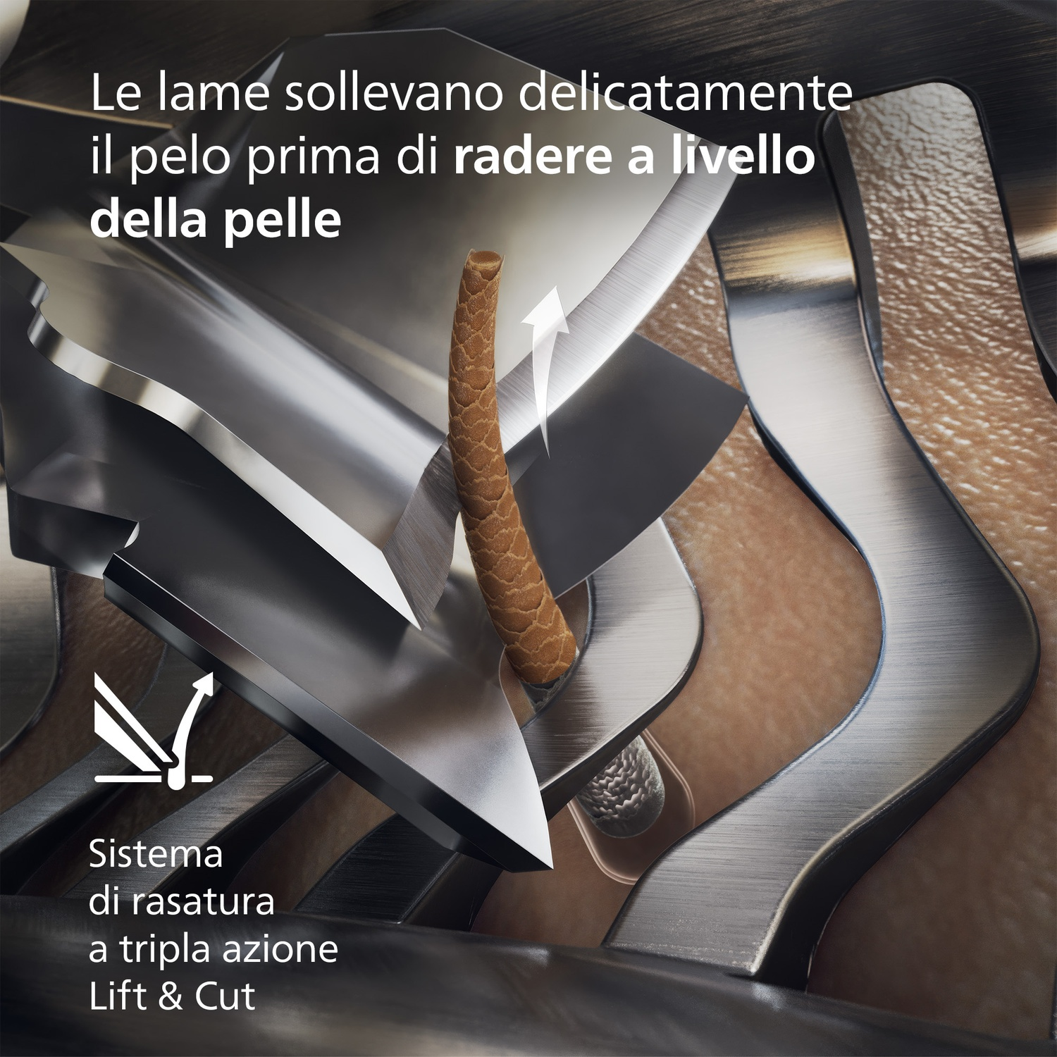 Lame sollevano il pelo prima di radere a livello della pelle.