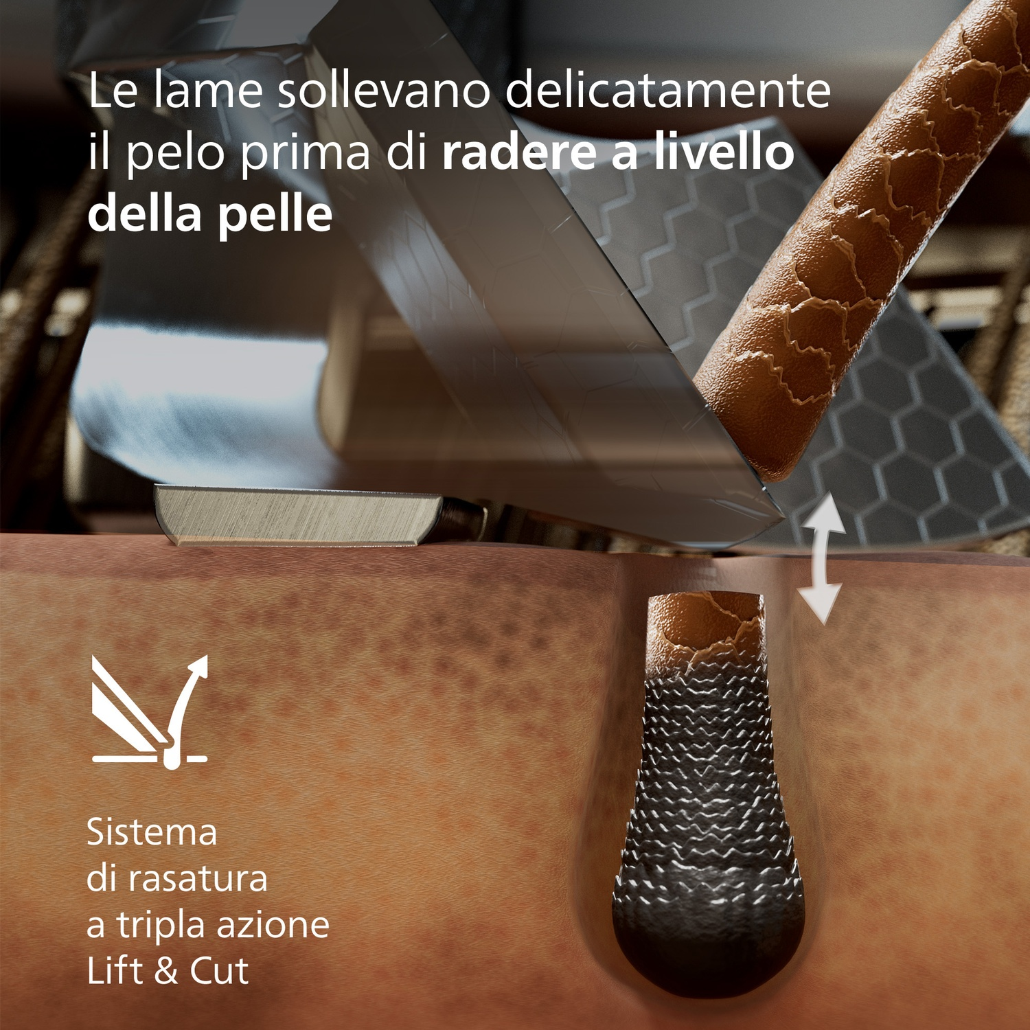 Lame sollevano il pelo prima di radere. Dettaglio pelle con follicolo.