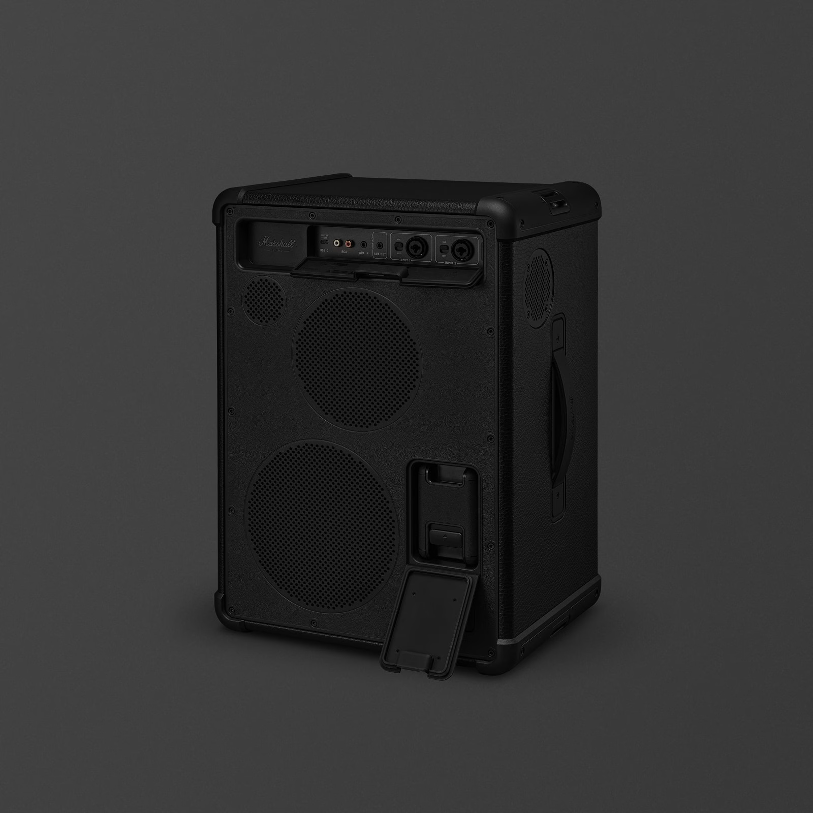 Cassa Marshall nera con due woofer e connessioni posteriori.