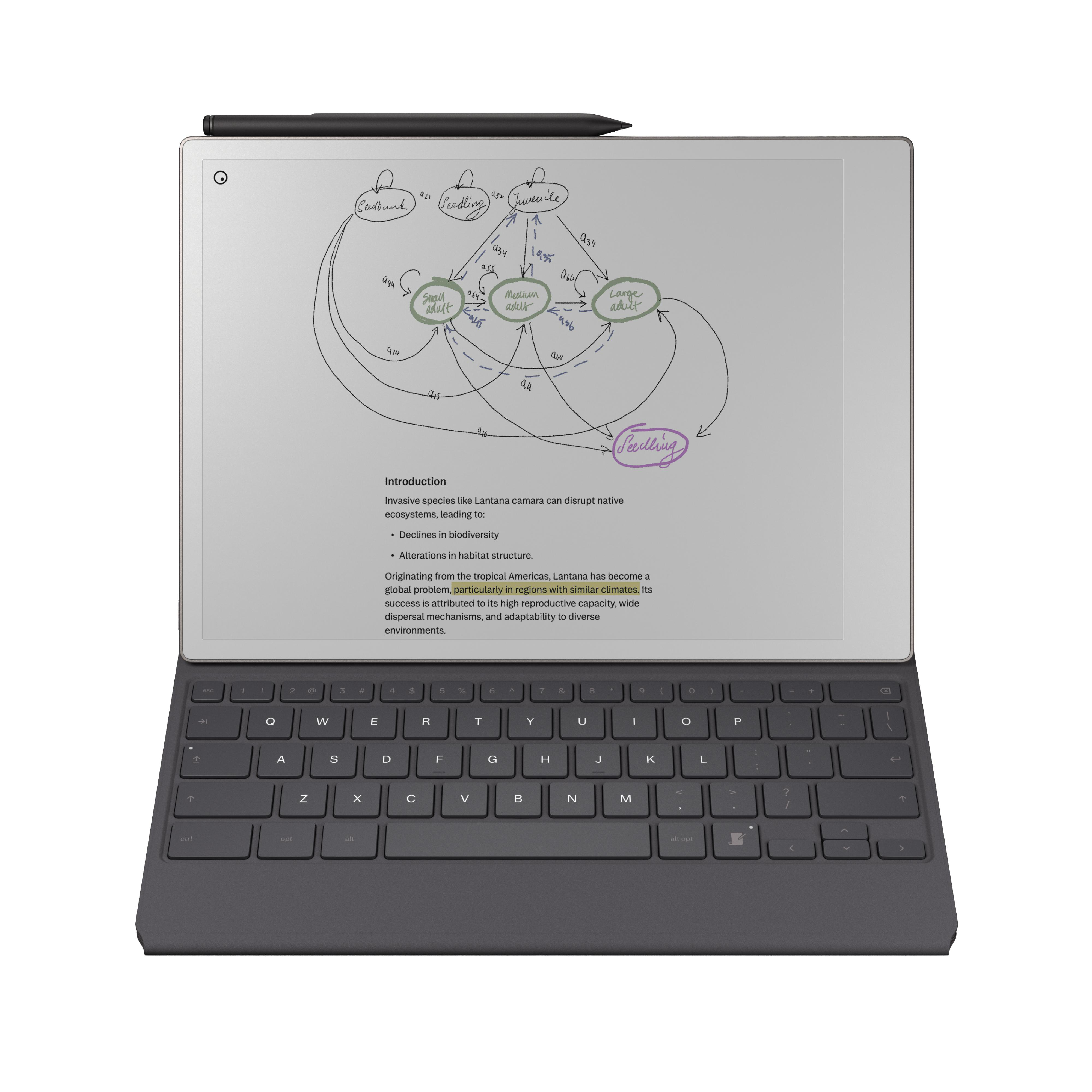 Ein Tablet mit Stift und Tastatur zeigt eine Grafik mit Lebenszyklen und Text.