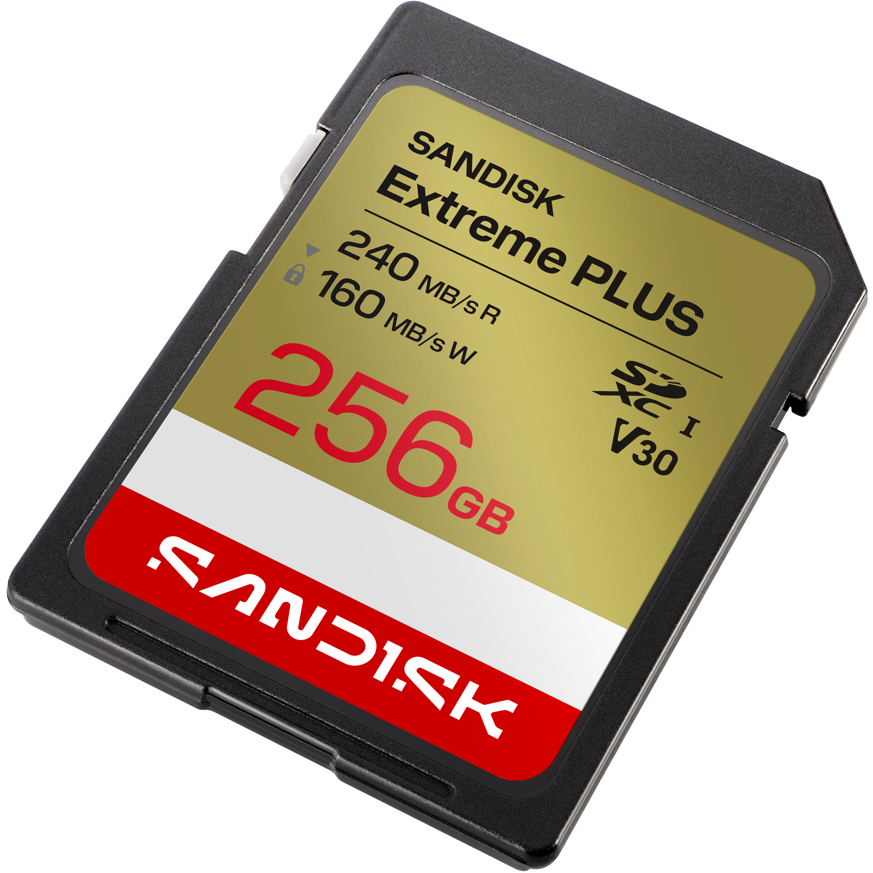 Eine goldene SD-Karte mit 256 GB Speicherkapazität und der Aufschrift SANDISK Extreme PLUS.