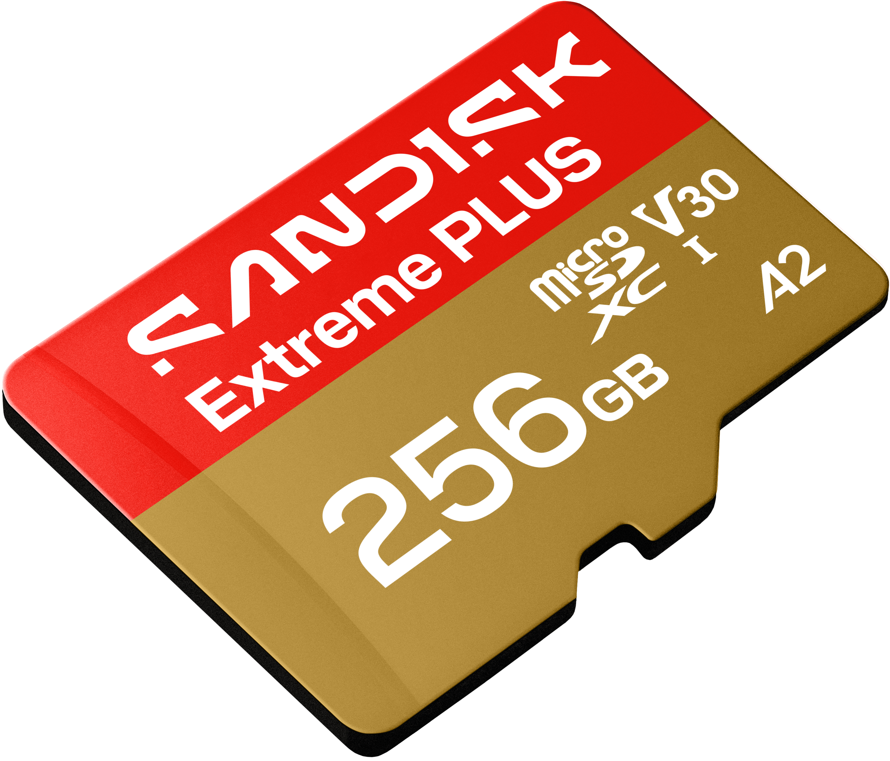 Eine goldene MicroSD-Karte mit 256 GB Speicherplatz und rotem Aufdruck.