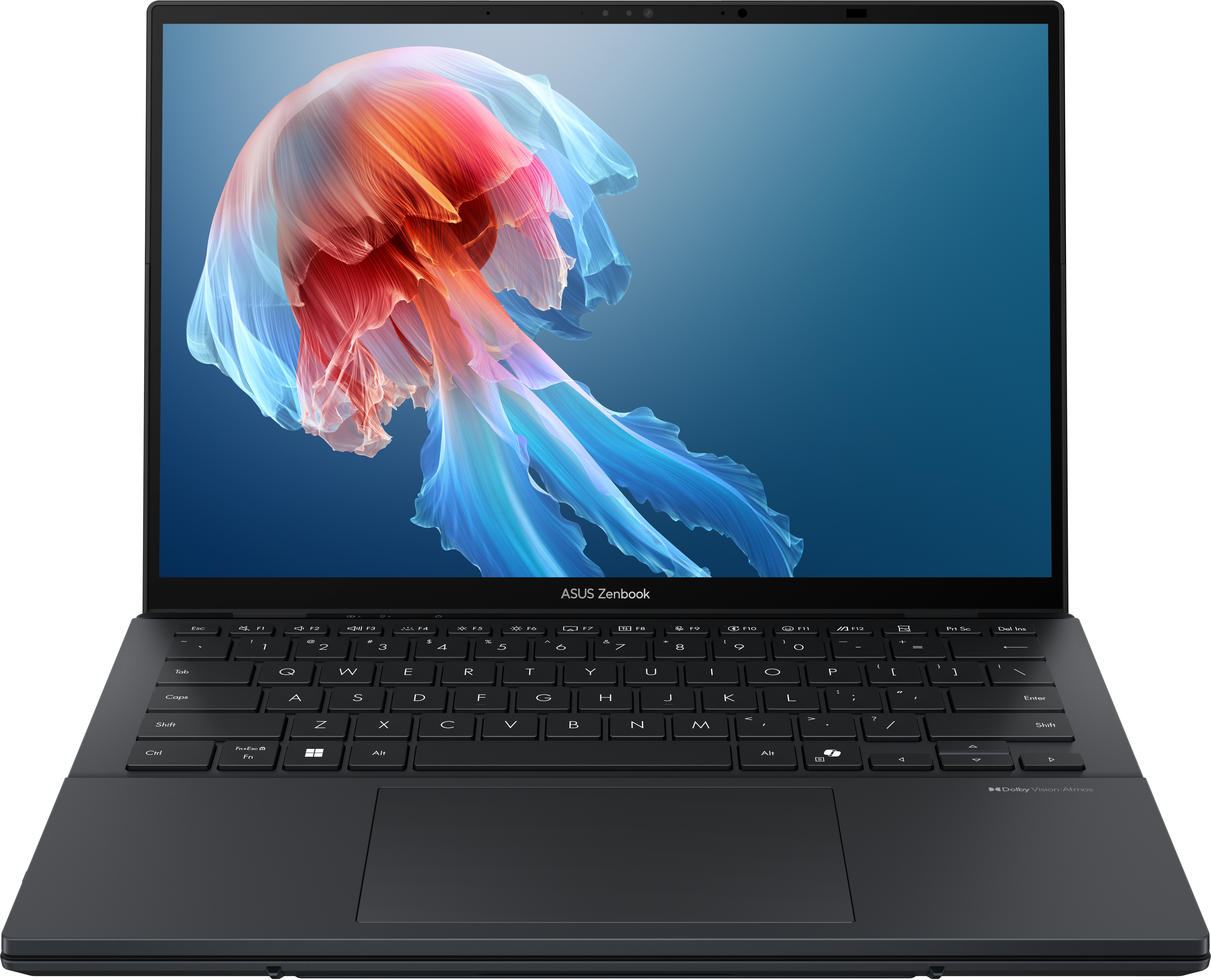 Ein geöffneter schwarzer Laptop mit einem leuchtenden Quallen-Bildschirmhintergrund.