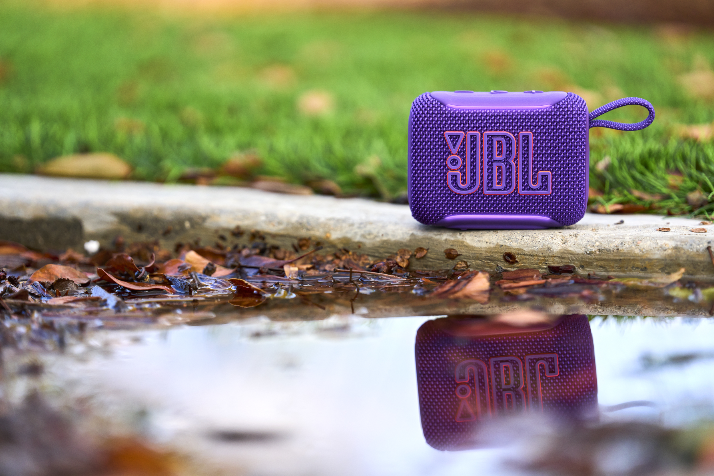 Altoparlante JBL viola su cemento con foglie bagnate ed erba intorno.