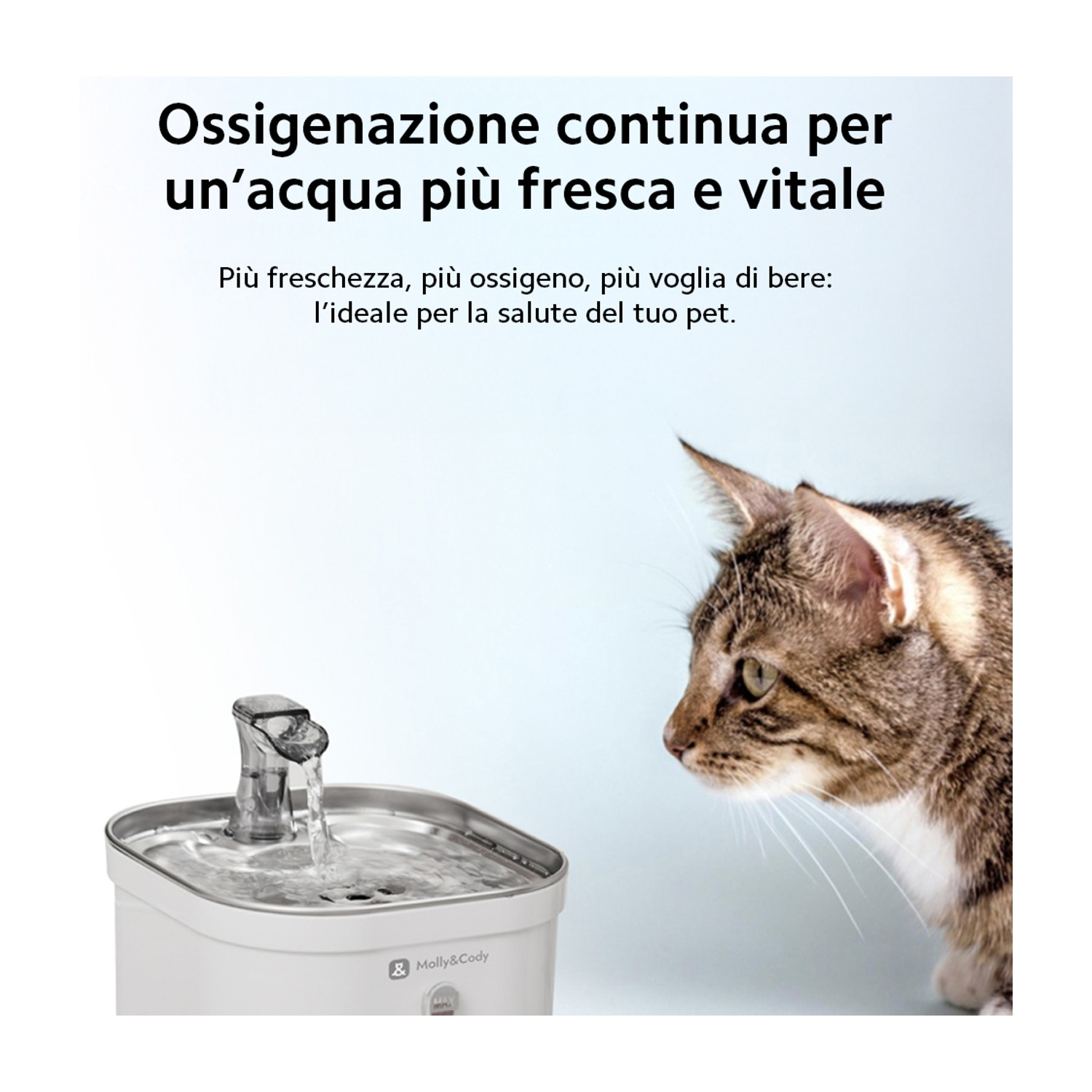 Gatto guarda fontanella con acqua che scorre.