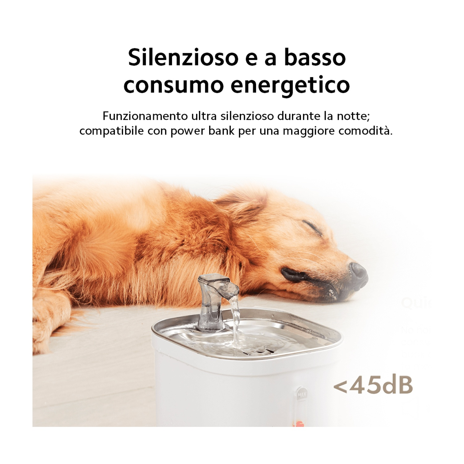 Un cane dorme accanto a una fontanella silenziosa. La fontanella è <lt/>45dB.