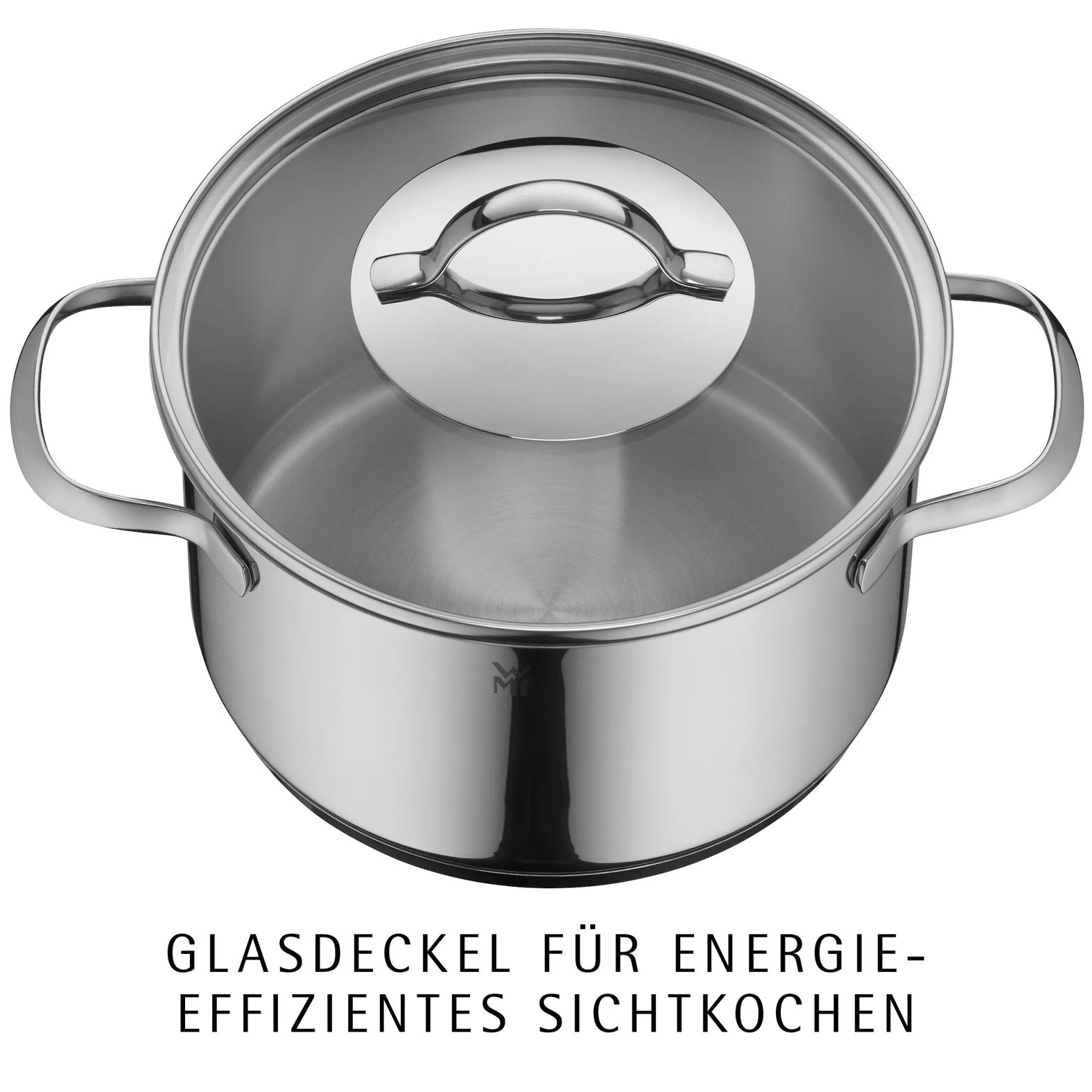 Edelstahltopf mit Glasdeckel und Griffen, bereit zur Nutzung.