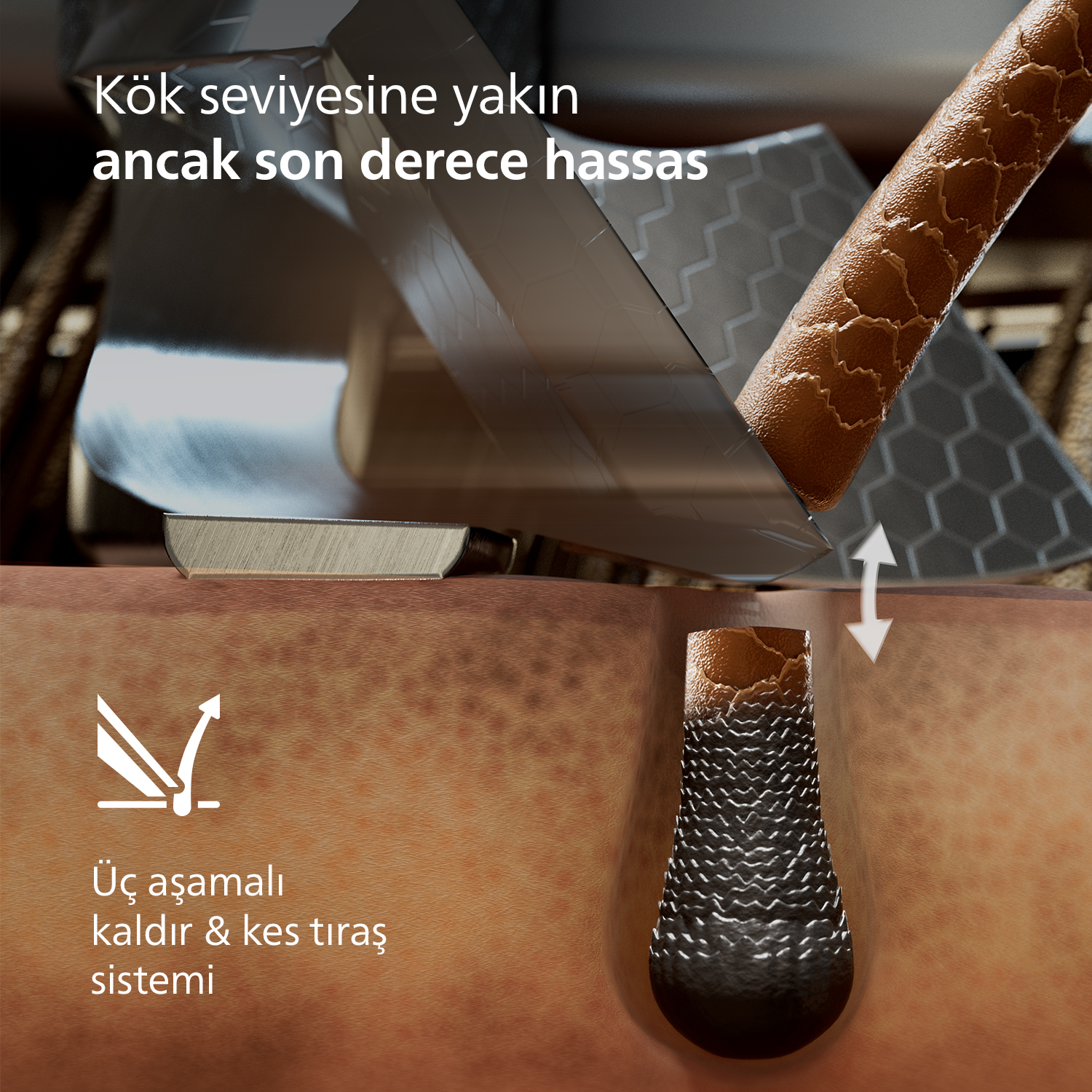 Kök seviyesine yakın, ancak son derece hassas. 3 aşamalı kaldır & kes sistemi.