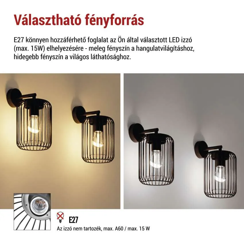 Fekete fém fali lámpa kerek ketrec lámpabúrával és látható izzóval.