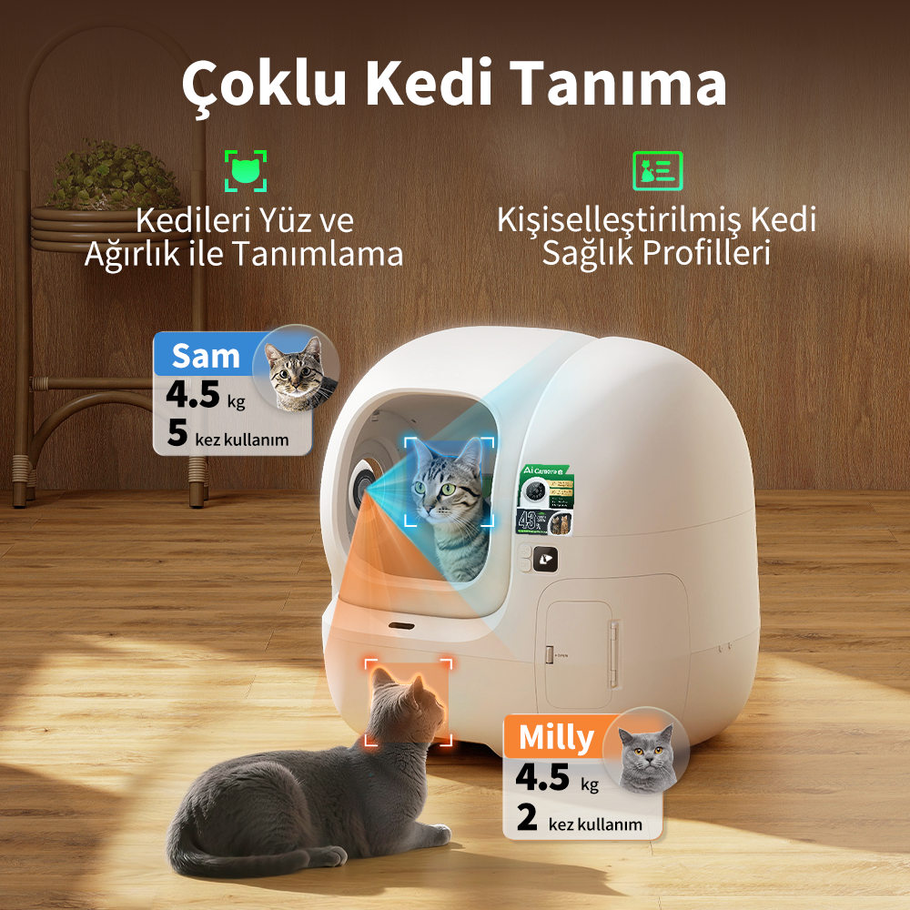 Beyaz otomatik kedi tuvaleti, kedileri yüz ve ağırlıkla tanır.
