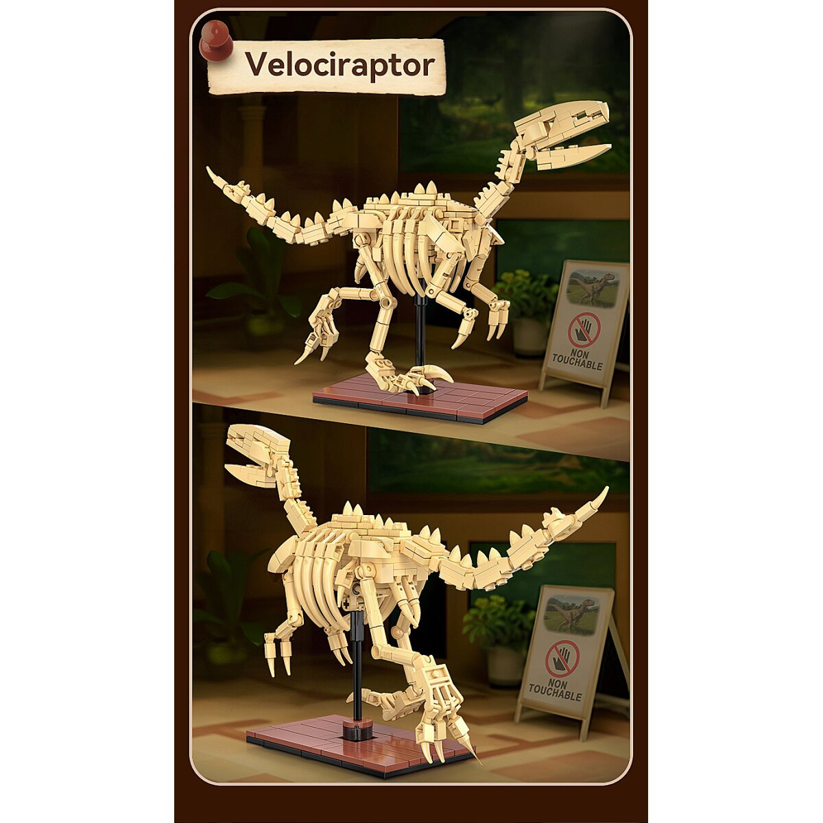 Két bézs színű velociraptor csontváz modell építőkockákból, kiállítóállványokon.
