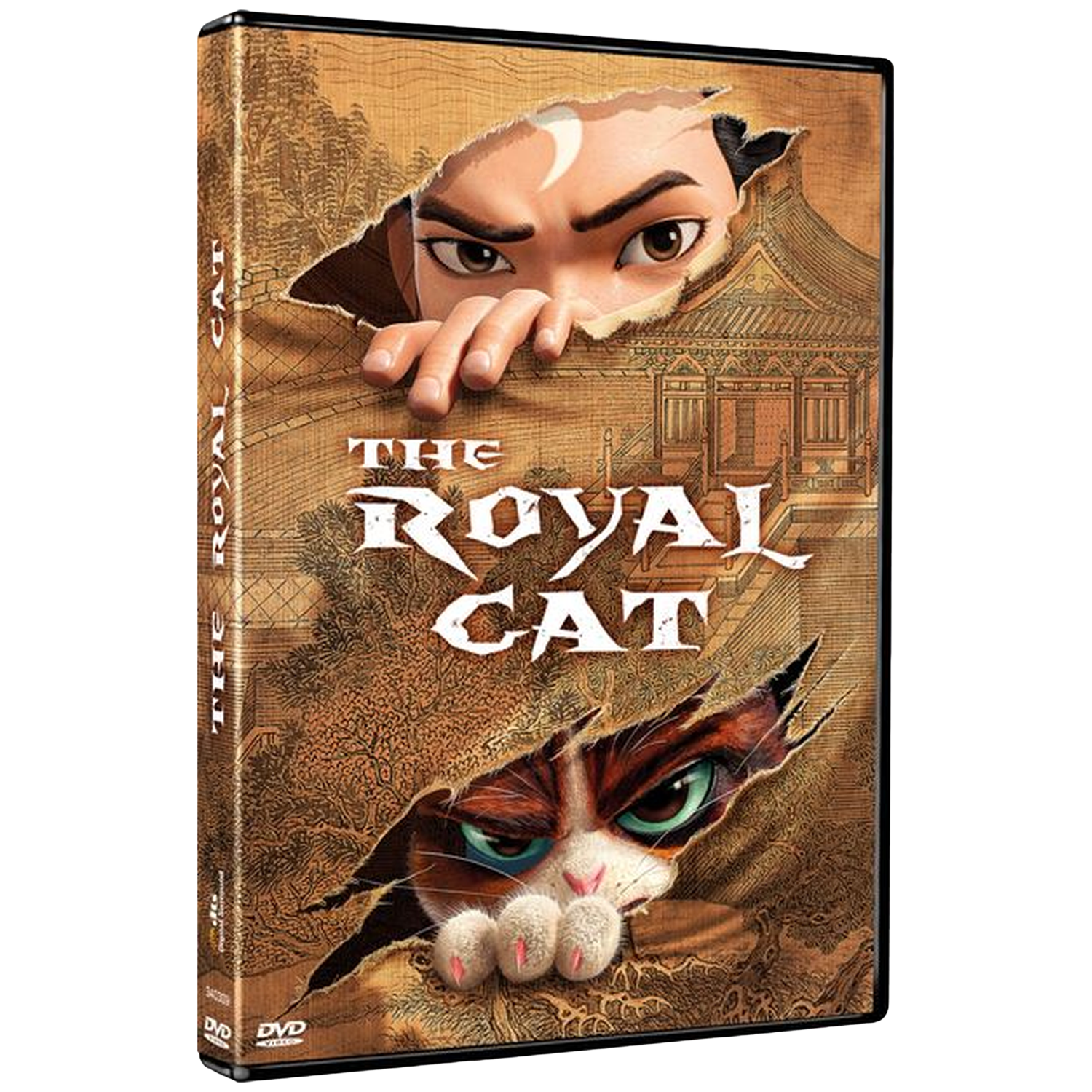Couverture DVD : Un garçon et un chat regardent à travers des déchirures sur fond brun.