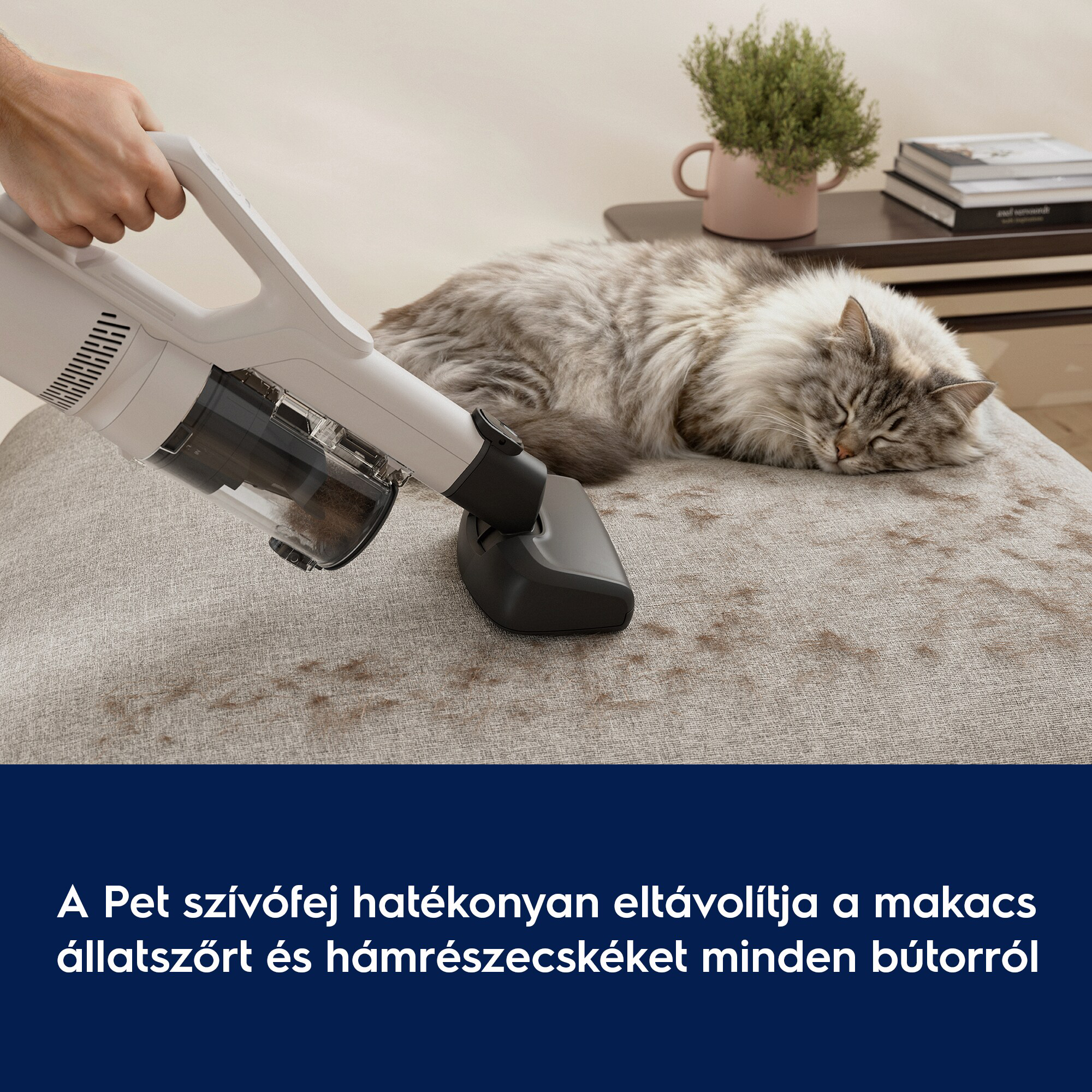 Egy kéz porszívózik egy kanapén, amin egy macska alszik. Egy növényes cserép a háttérben.