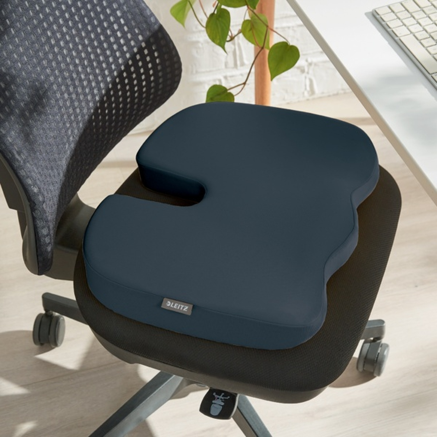 Un cuscino per seduta blu scuro su una sedia da ufficio, con una pianta.