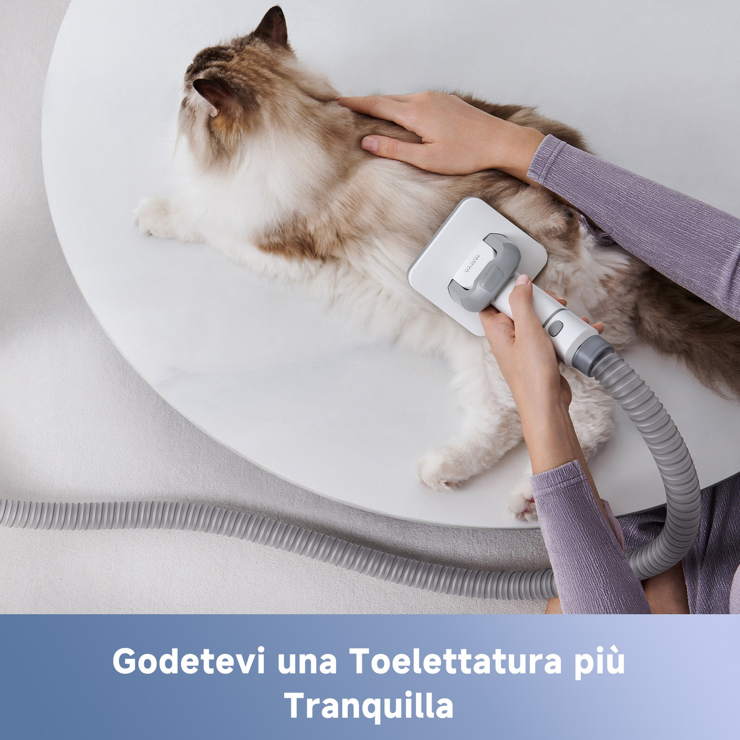 Una mano spazzola un gatto con uno strumento collegato a un tubo.