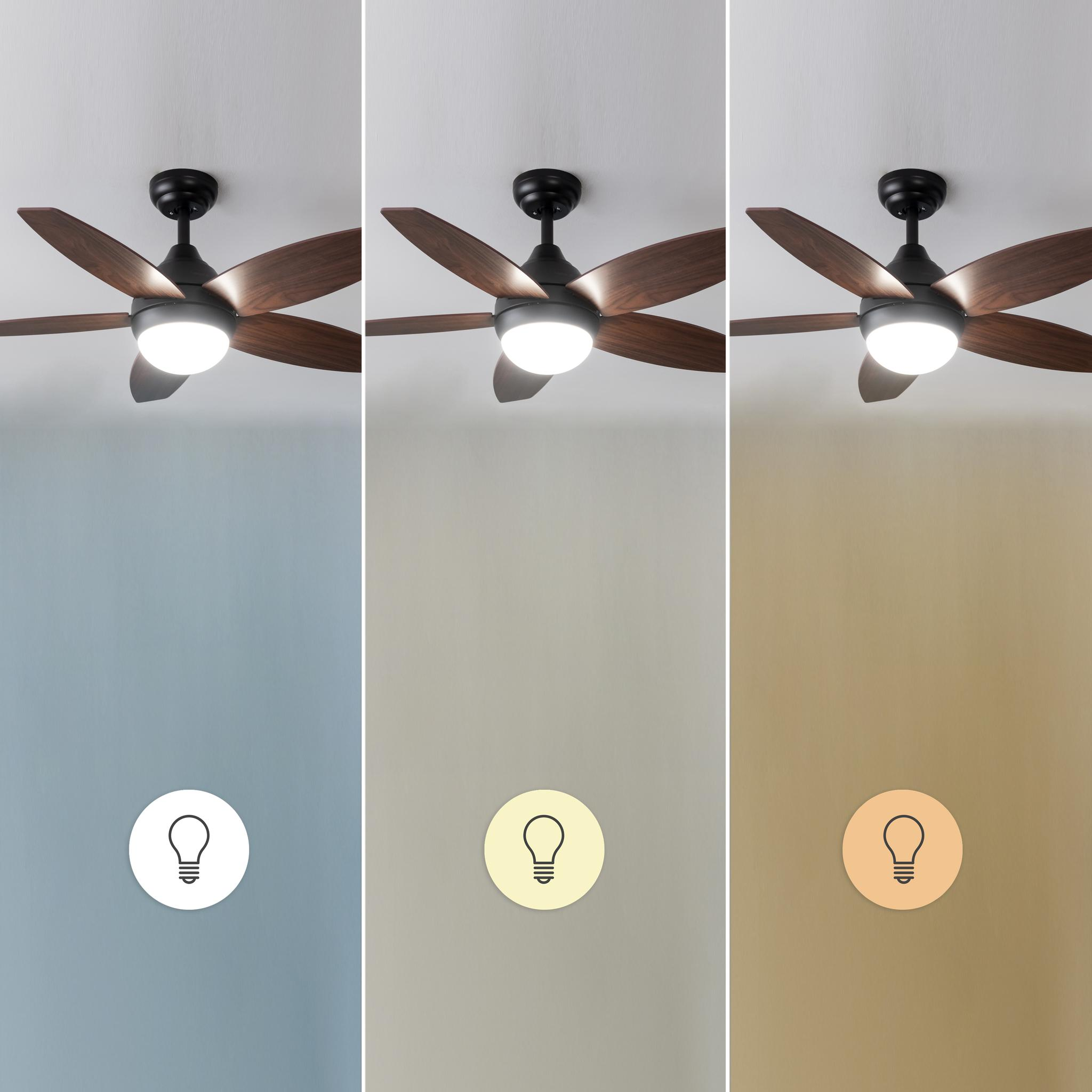 Tres ventiladores de techo con aspas de madera y luces frente a paredes de diferentes colores.