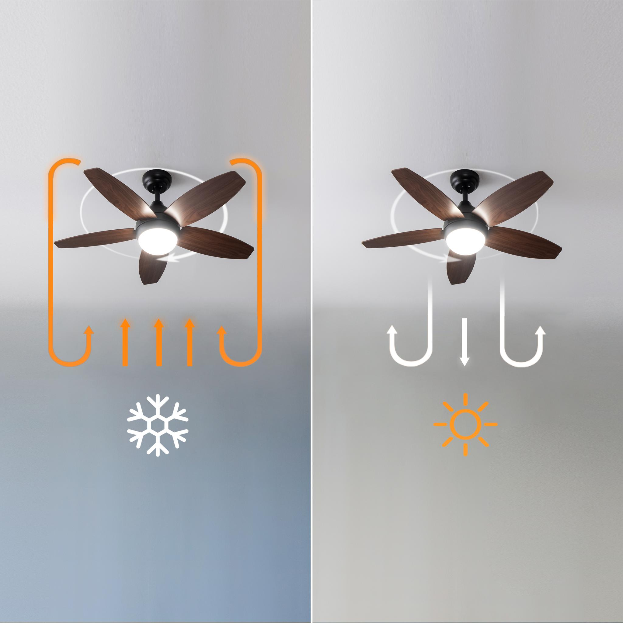 Ventilador de techo con aspas de madera que expulsa aire hacia arriba en invierno y hacia abajo en verano.