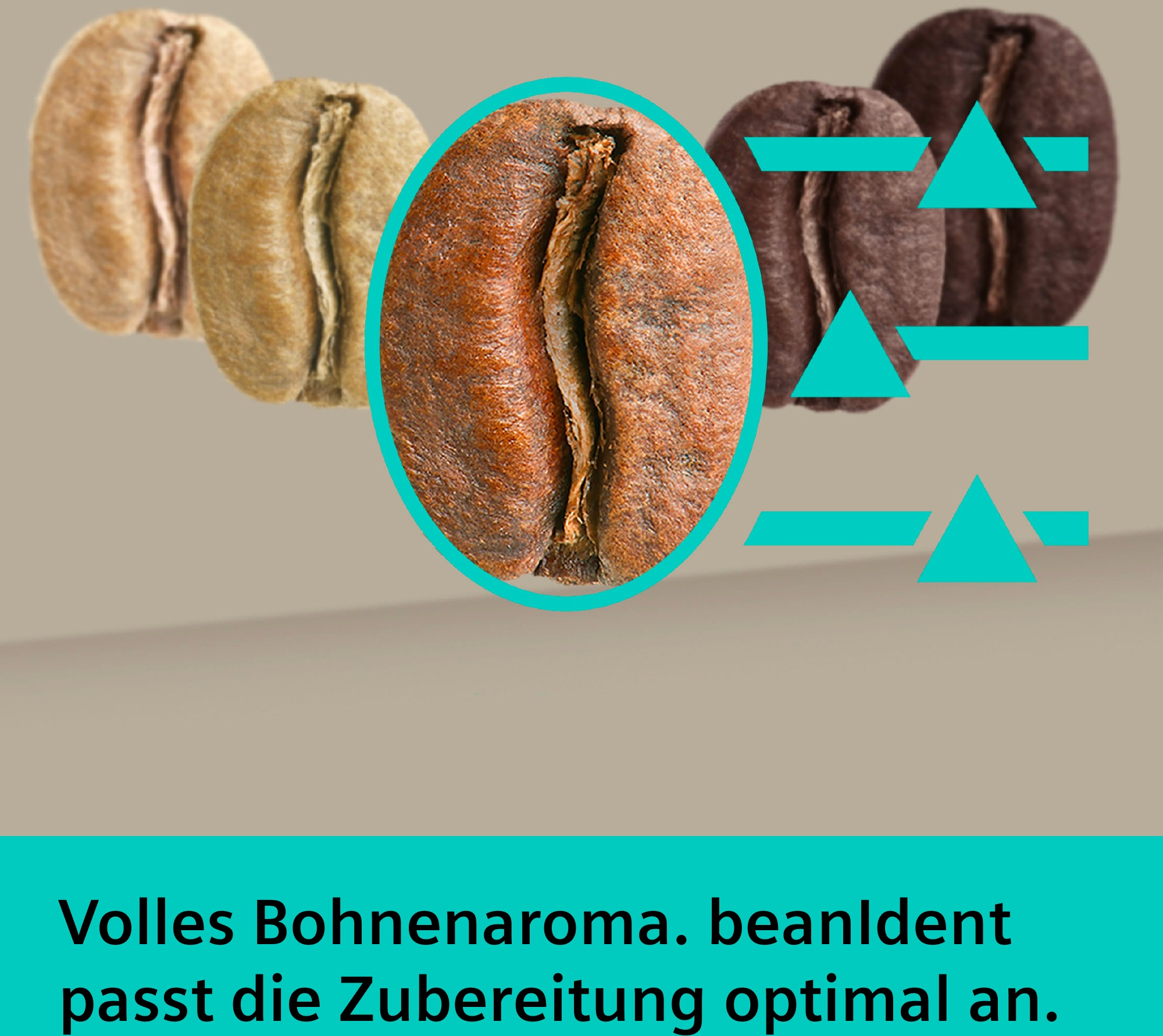 Kaffeebohnen in verschiedenen Röstgraden, von hell bis dunkel, mit Grafiken.