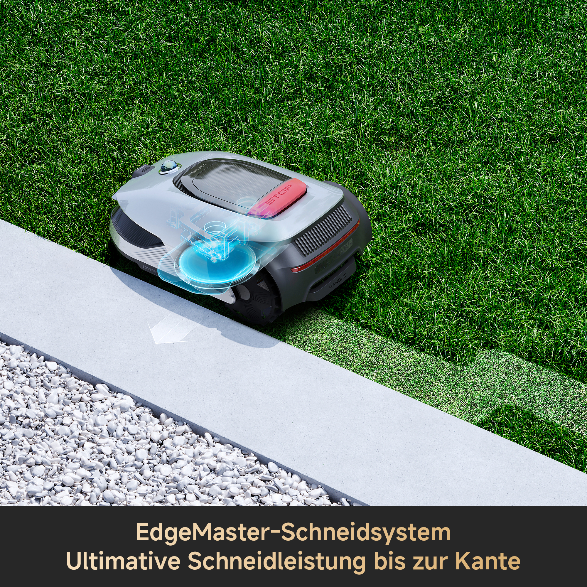 Ein Mähroboter auf einem Bürgersteig neben Gras. Ein blauer Schnittbereich wird angezeigt.